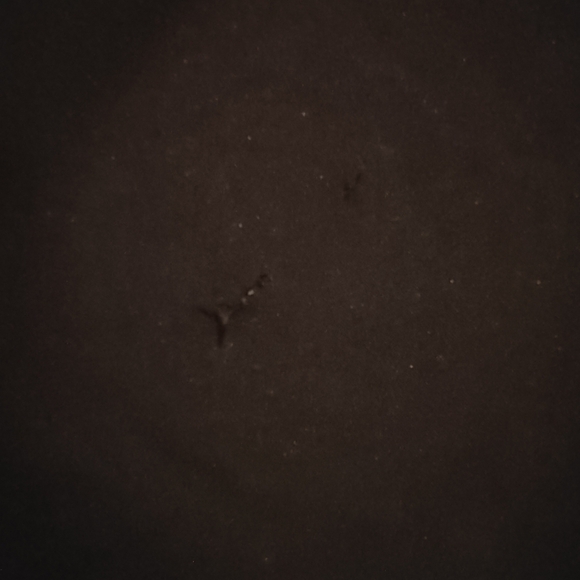 Party Bowling Casino Shirt - Picture 6 of 8